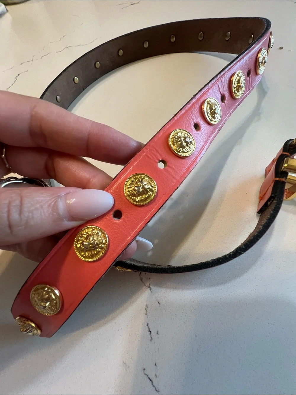 The Limited Belt Gold Lion Medallion Coral Leather Studded Belt Small S preloved